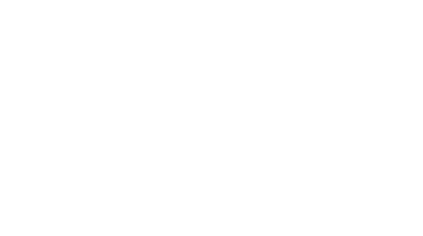 Japara logo
